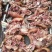 五香牛头肉，大公牛肉厚无水厂家直销