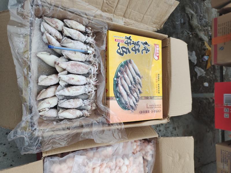 大个籽乌！船冻及时新鲜！饭店餐馆烧烤摊专用一手货源