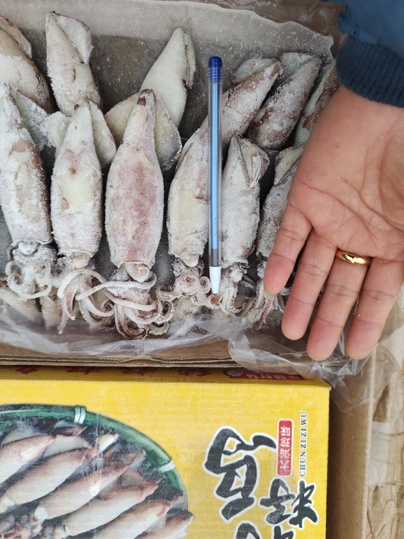 大个籽乌！船冻及时新鲜！饭店餐馆烧烤摊专用一手货源