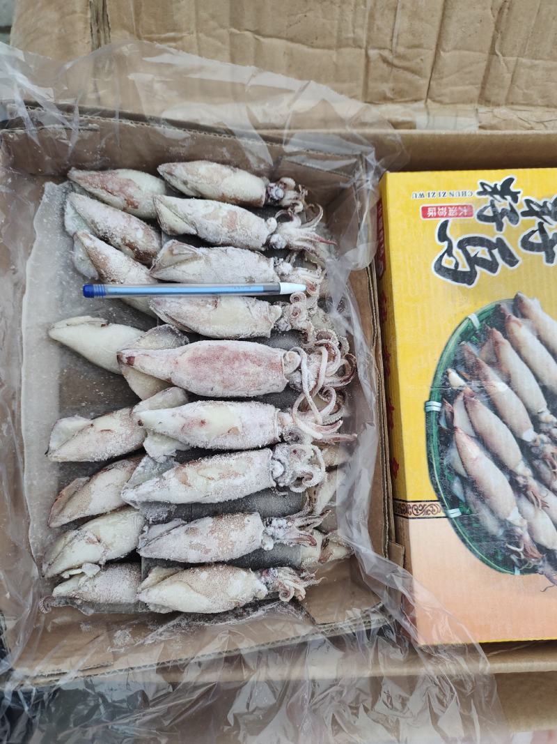 大个籽乌！船冻及时新鲜！饭店餐馆烧烤摊专用一手货源
