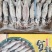 大个籽乌！船冻及时新鲜！饭店餐馆烧烤摊专用一手货源