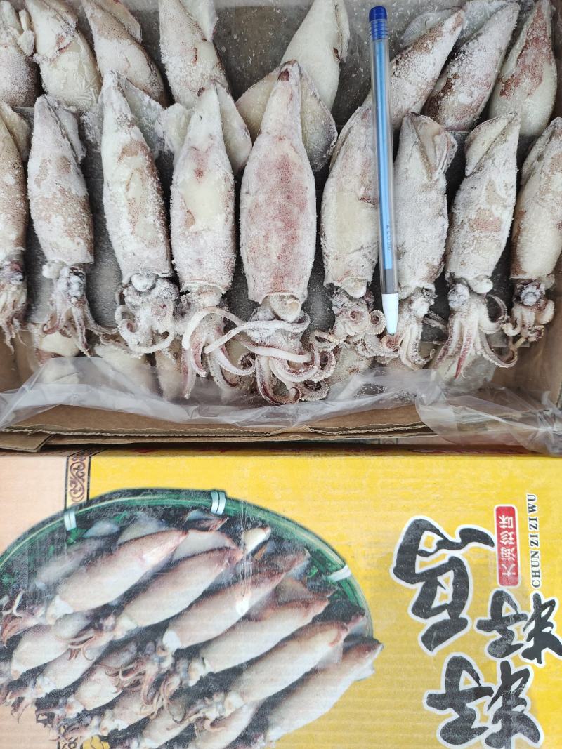 大个籽乌！船冻及时新鲜！饭店餐馆烧烤摊专用一手货源