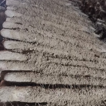我处大量有棒药好大货，二路，三路货，应有尽有保质保量