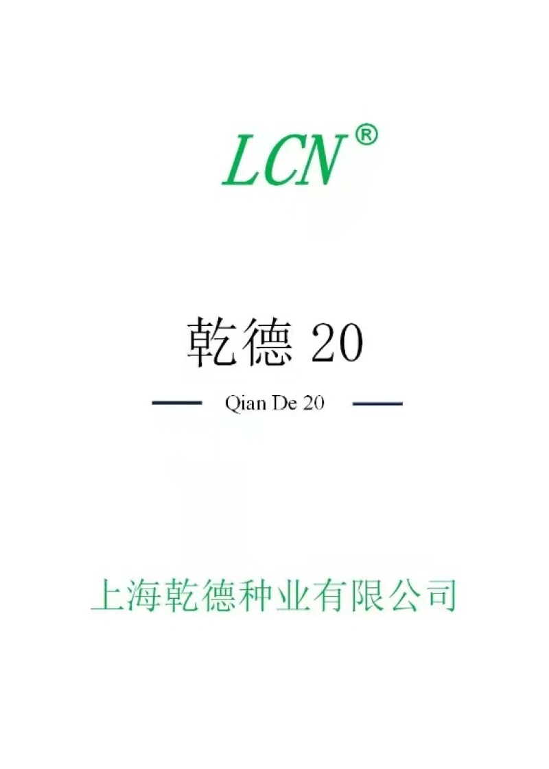 耐寒油亮密刺型黄瓜种子乾德20把短无腊粉