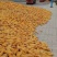 玉米棒山东玉米棒红轴白轴玉米棒湿玉米粒玉米粒