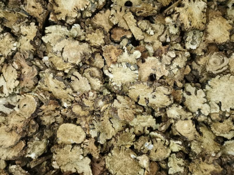 川芎大货，各种规格，药厂投料，打粉，需要的客户欢迎咨询