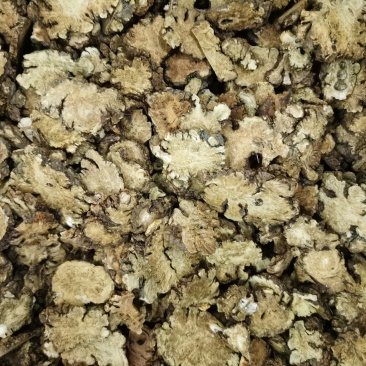 川芎大货，各种规格，药厂投料，打粉，需要的客户欢迎咨询