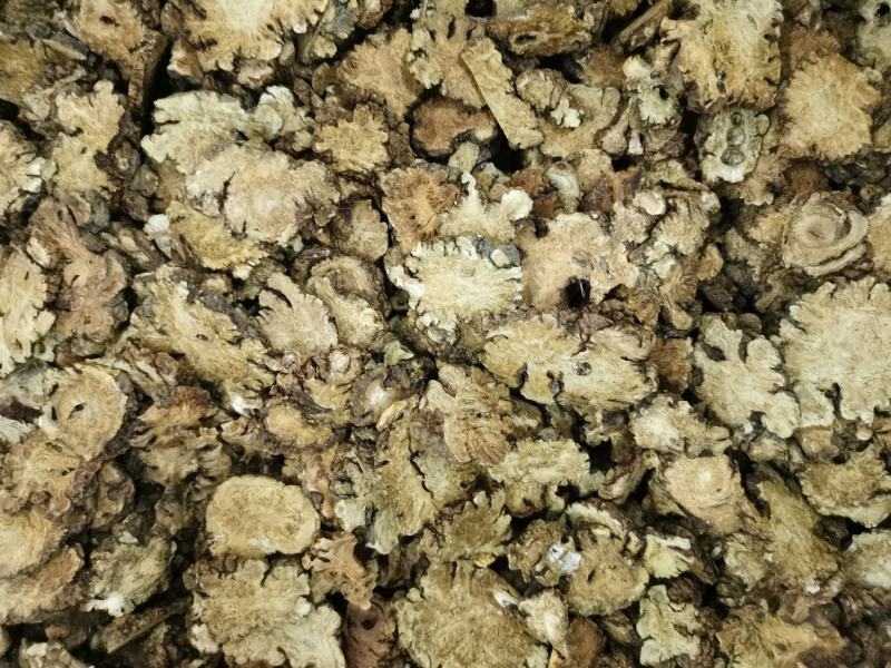 川芎大货，各种规格，药厂投料，打粉，需要的客户欢迎咨询