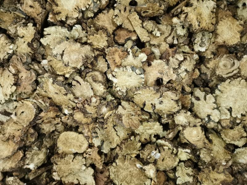 川芎大货，各种规格，药厂投料，打粉，需要的客户欢迎咨询