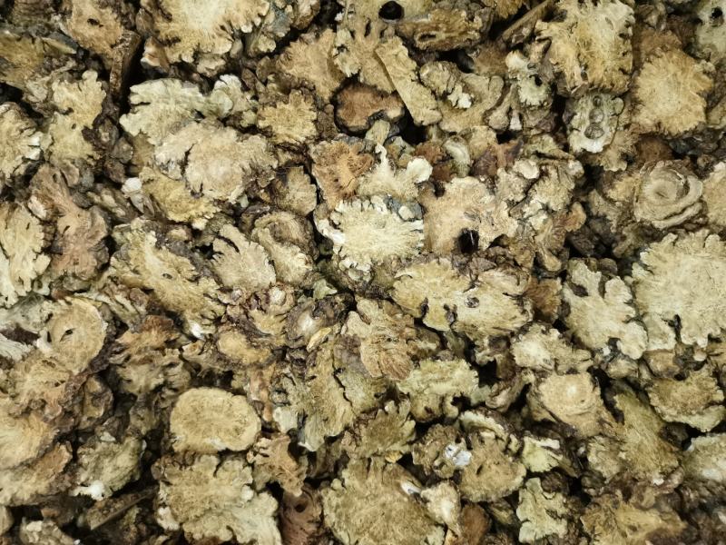 川芎大货，各种规格，药厂投料，打粉，需要的客户欢迎咨询
