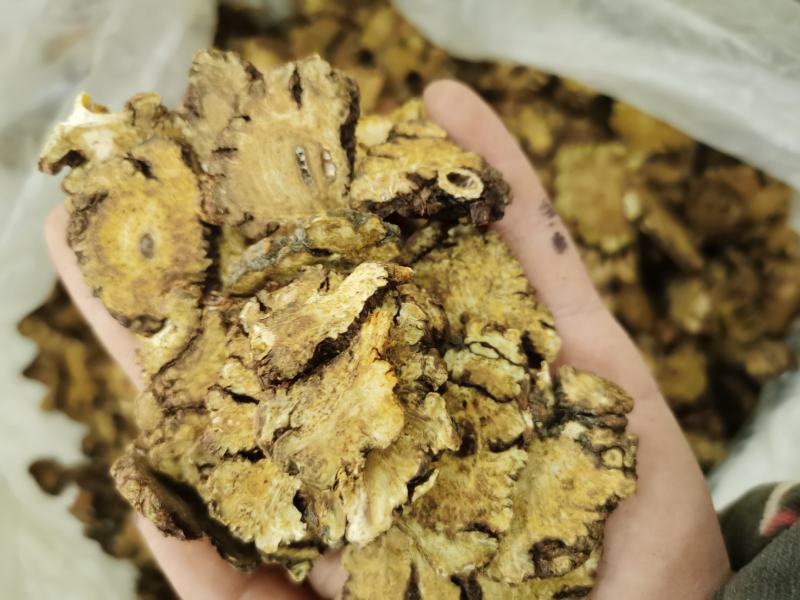 川芎大货，各种规格，药厂投料，打粉，需要的客户欢迎咨询