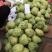 供应优质释迦果|供应番荔枝优质释迦果一件代发