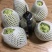 供应优质释迦果|供应番荔枝优质释迦果一件代发