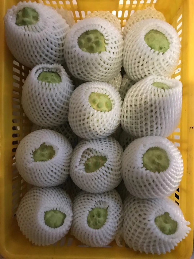 供应优质释迦果|供应番荔枝优质释迦果一件代发