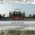 三元杂交牛全国免费送货大量批发厂家直销