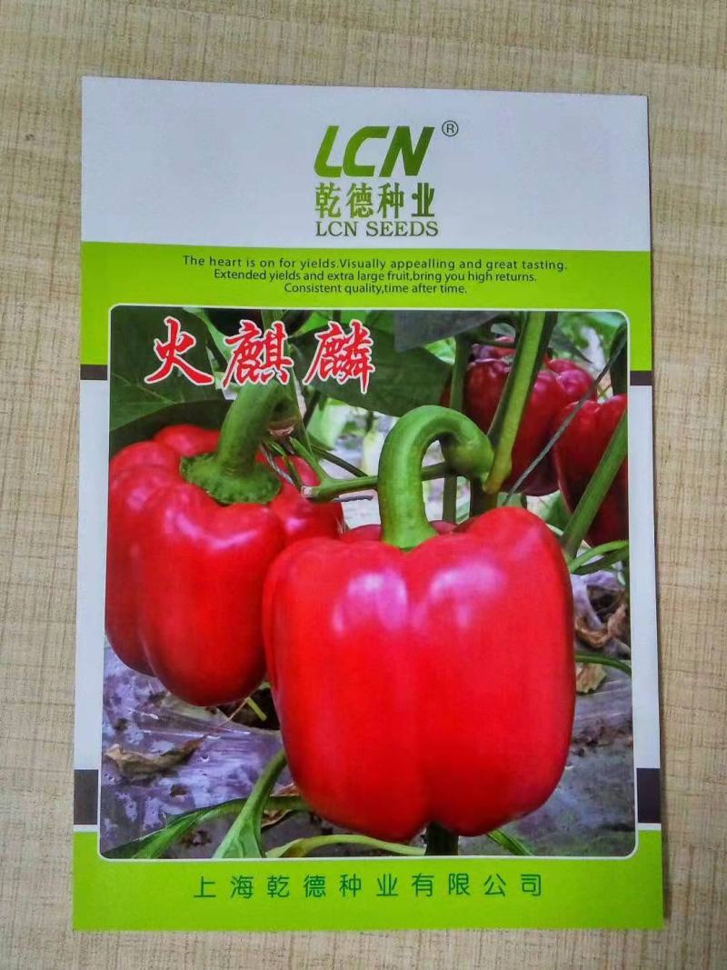 【包邮】火麒麟红色圆椒方椒皮厚硬度高转色均匀