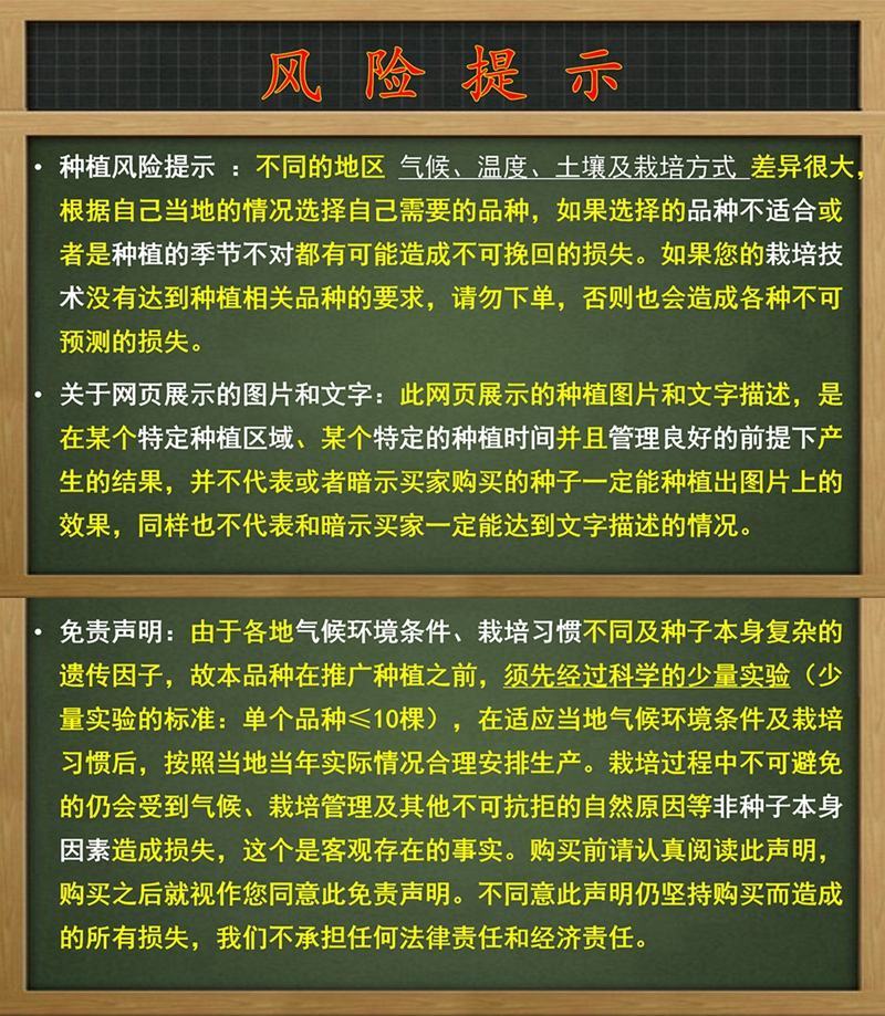 【包邮】火麒麟红色圆椒方椒皮厚硬度高转色均匀