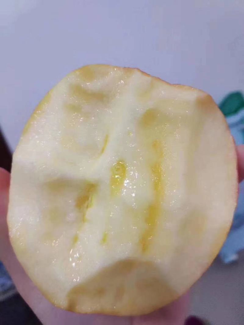 陕西精品洛川红富士出库价，欢迎新老客户前来选购合作，