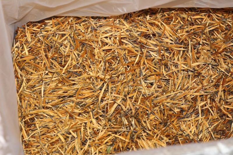 滇红茶大金针250克装铁罐双盒装送精美礼品