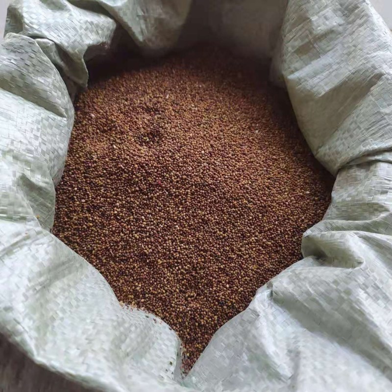 白苏子可搭配多品种采购大货联系