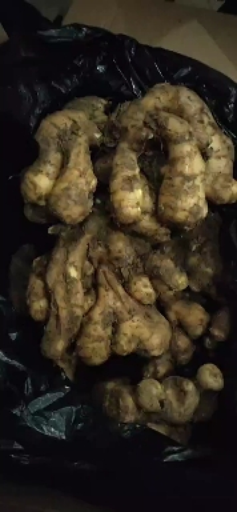 日照临沂大黄姜批发价格莒县沂水沂南大黄姜基地价格