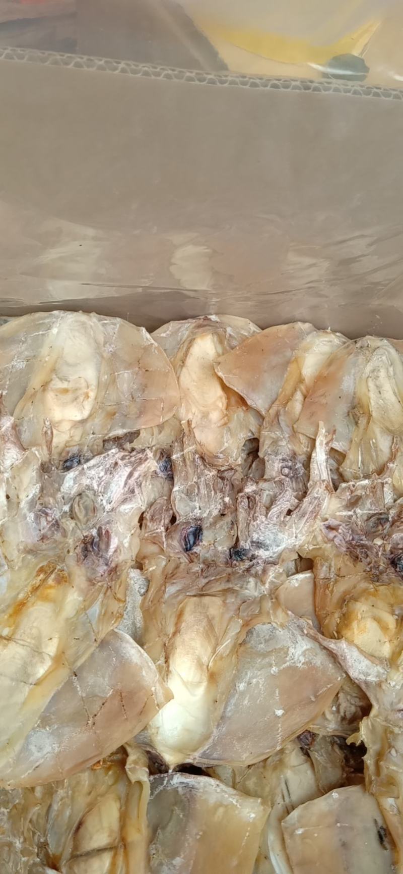 墨鱼干。微咸的一斤二十五左右的，干度九成