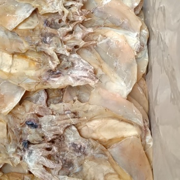墨鱼干。微咸的一斤二十五左右的，干度九成