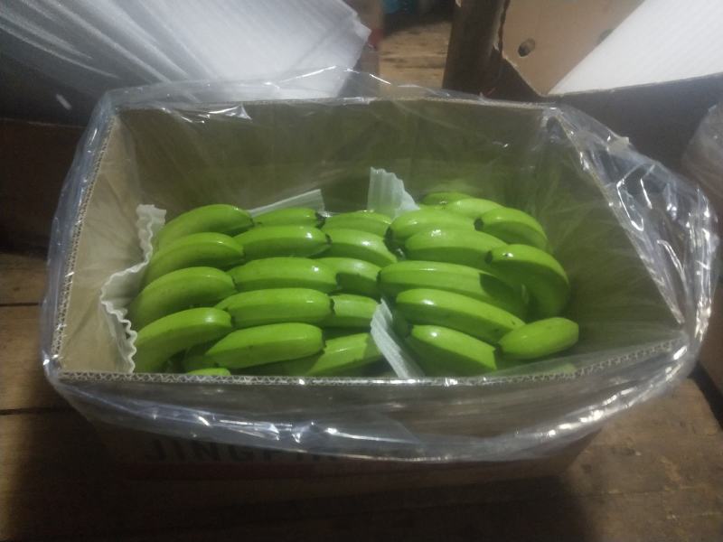 高山香蕉甜而不腻漂亮