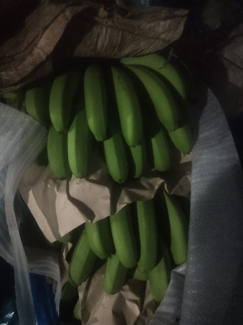 高山香蕉甜而不腻漂亮