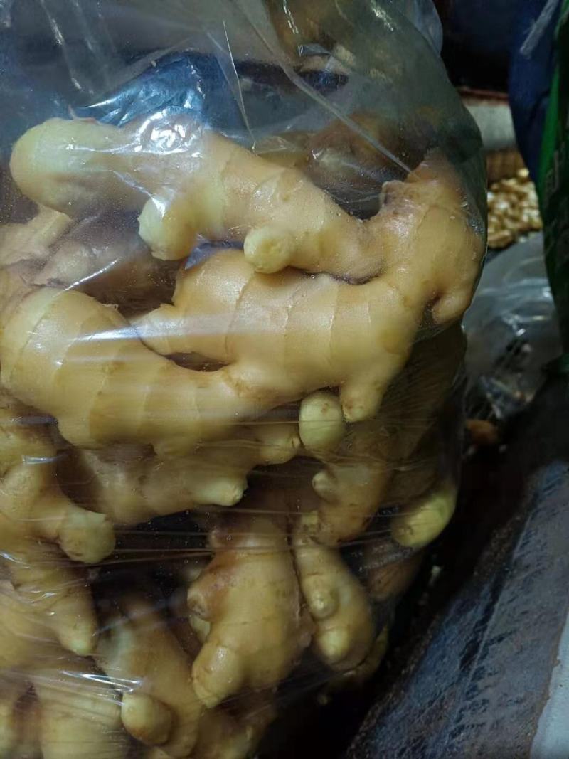 生姜大黄姜大量上市需要的可以联系保质保量