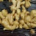 生姜大黄姜大量上市需要的可以联系保质保量