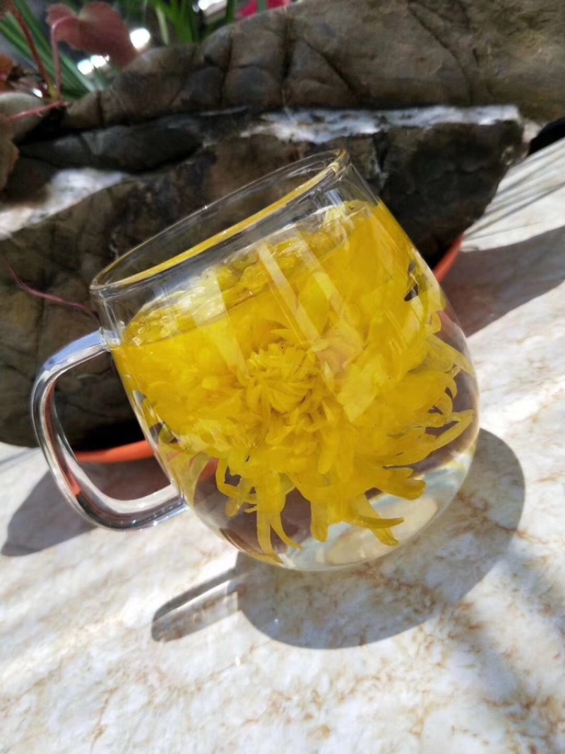 金丝皇菊礼盒装朵朵花饱满送人佳品菊花茶菊花花茶