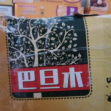 厂家直销质量保证包退包换越南进口一级纸皮巴旦纸皮巴旦木