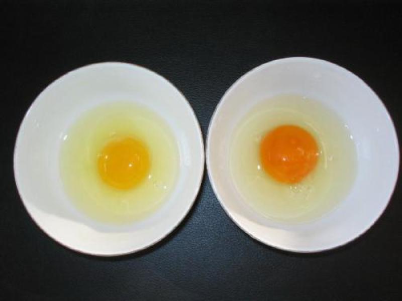 冀润德®农产品土鸡蛋批发纯粮饲养