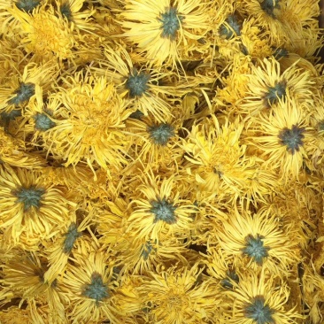 金丝皇菊散花批发各种档次批发菊花茶菊花联系客服