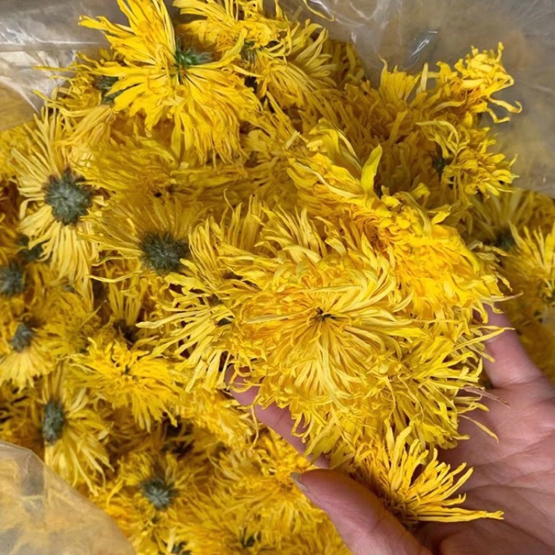 金丝皇菊散花批发各种档次批发菊花茶菊花联系客服
