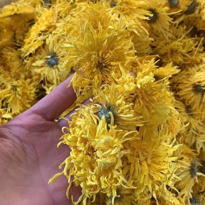 金丝皇菊散花批发各种档次批发菊花茶菊花联系客服