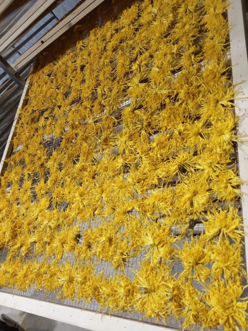 金丝皇菊散花批发各种档次批发菊花茶菊花联系客服