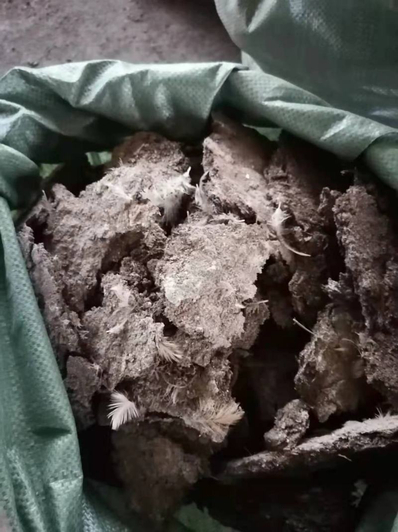 荐谷壳鸡粪块状鸡粪粉状鸡粪水分干无杂质欢迎咨询