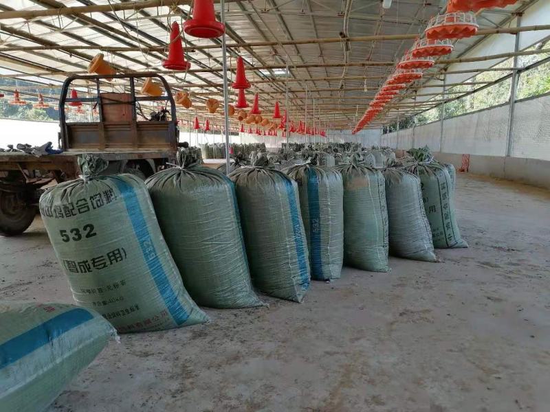 荐谷壳鸡粪块状鸡粪粉状鸡粪水分干无杂质欢迎咨询