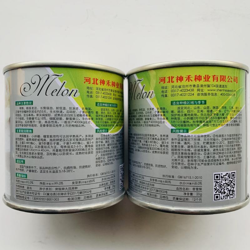 卡其香雪梨薄皮甜瓜种子基地专用种白皮甜瓜种子糖度高