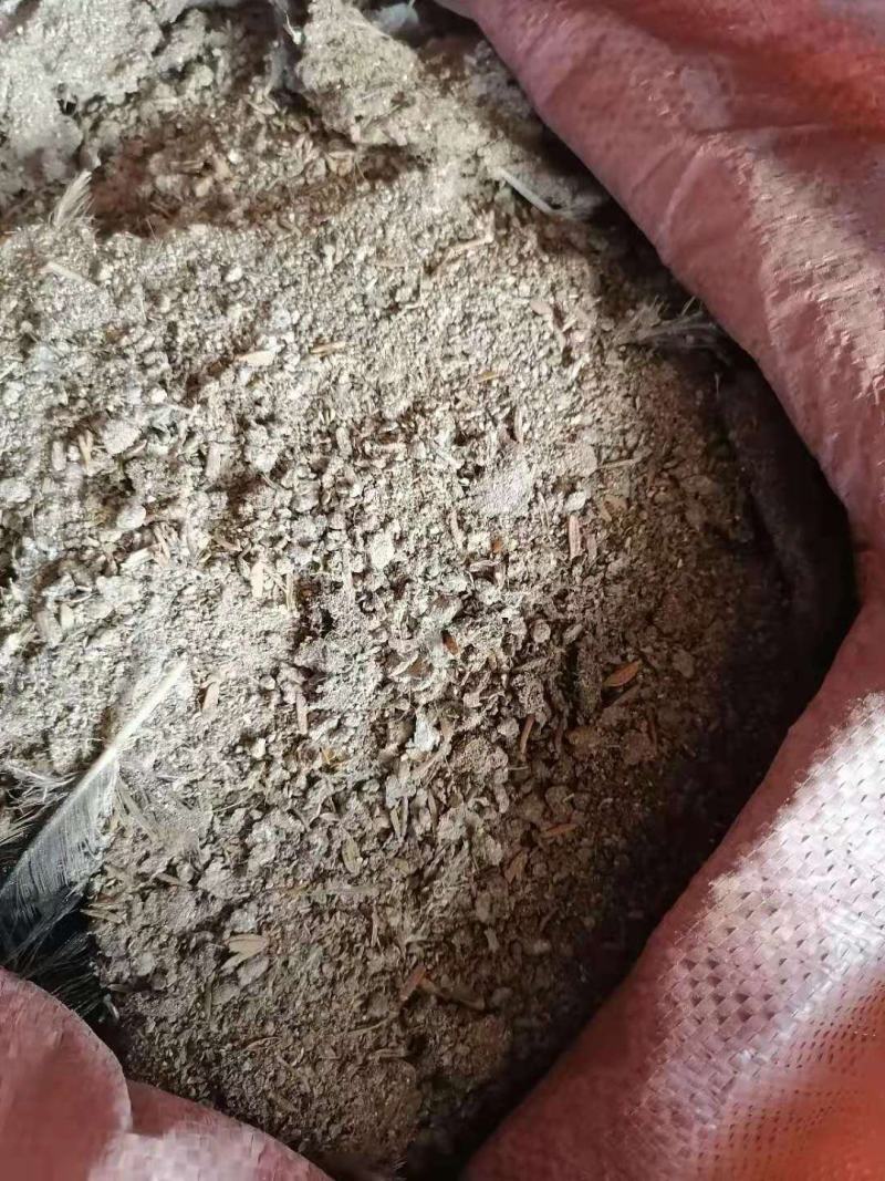 荐谷壳鸡粪块状鸡粪粉状鸡粪水分干无杂质欢迎咨询