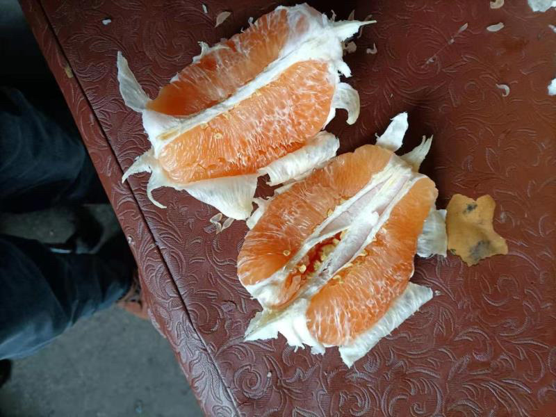 柚子，红白两种，因为农户种植，没法分开