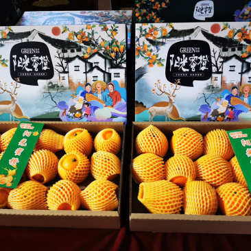 鹿寨蜜橙