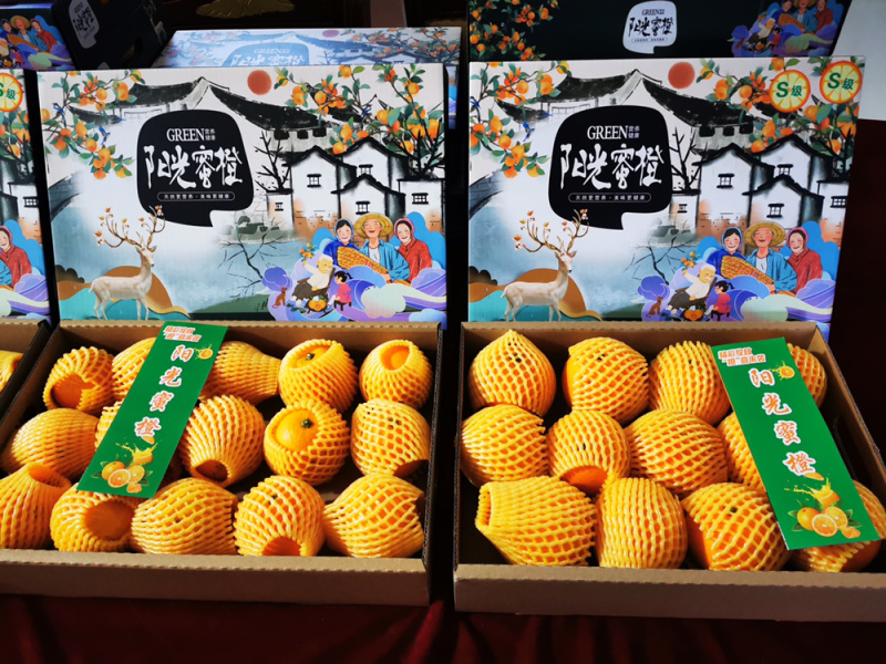 鹿寨蜜橙