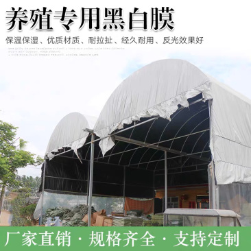 进口优质黑白膜养殖大棚大棚膜隔热反光降温膜