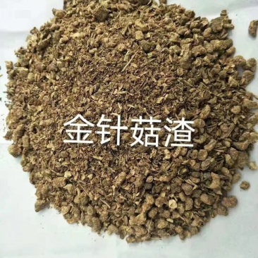烘干金针菇渣，适用于牛羊畜禽饲料