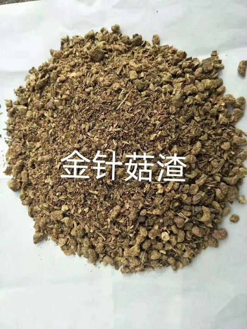 烘干金针菇渣，适用于牛羊畜禽饲料