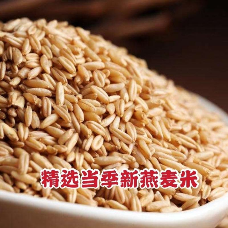 【生燕麦面粉新货】纯燕麦面粉农家现磨燕麦面粉杂粮粉包邮