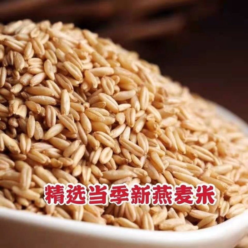 【生燕麦面粉新货】纯燕麦面粉农家现磨燕麦面粉杂粮粉包邮
